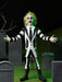 Buy Beetlejuice Striped Suit Toony Terrors 6" Scale Action Figure - Beetlejuice - NECA Collectibles from Costume Super Centre AU