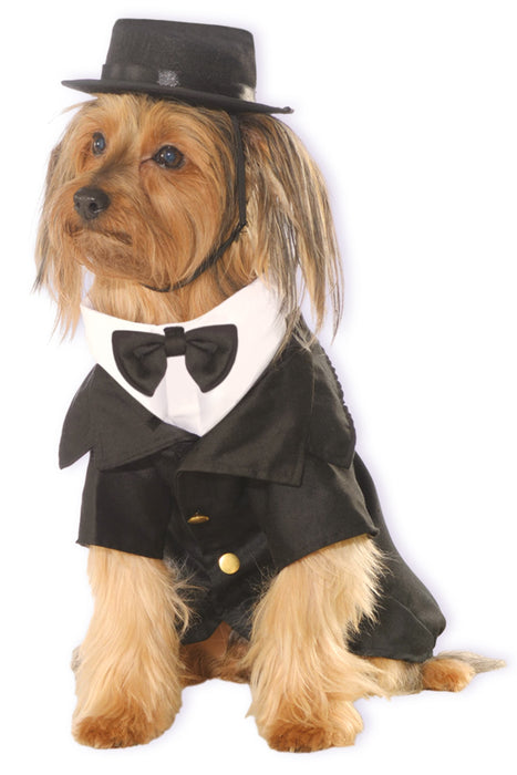 Buy Dapper Dog Pet Costume from Costume Super Centre AU