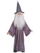 Buy Gandalf Wig & Beard Kit for Kids & Adults - Warner Bros Lord of the Rings from Costume Super Centre AU