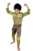 Buy Hulk Deluxe Costume for Kids - Marvel Avengers from Costume Super Centre AU