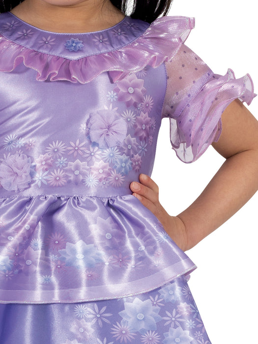 Buy Isabela Deluxe Costume for Toddlers - Disney Encanto from Costume Super Centre AU