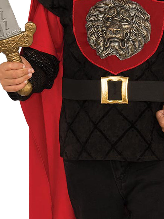 Buy Little Knight Costume for Kids from Costume Super Centre AU