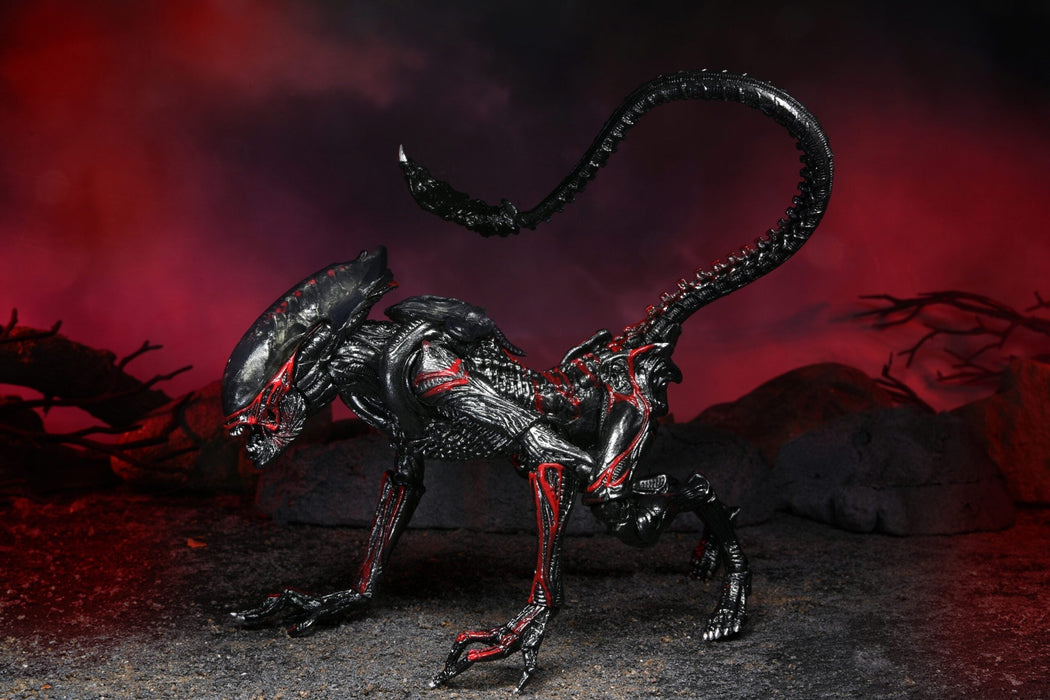 Buy Aliens - 7" Scale Action Figure - Kenner Tribute Night Cougar Alien - NECA Collectibles from Costume Super Centre AU