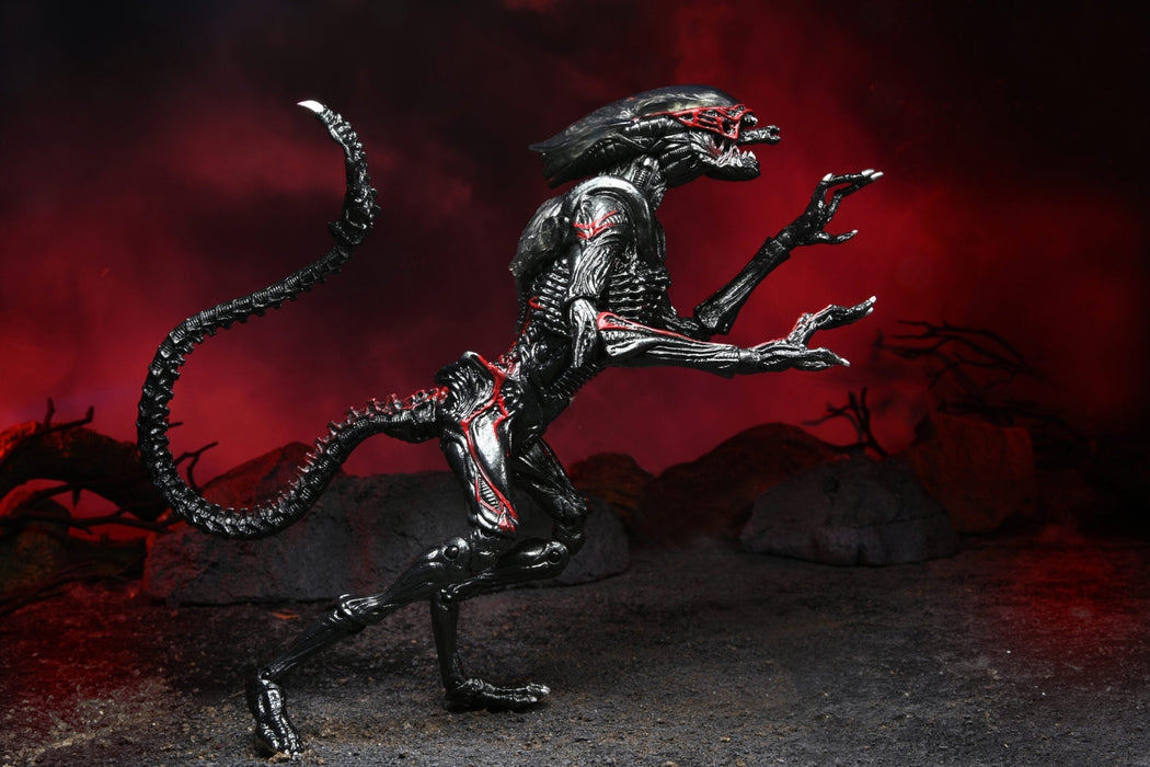 Buy Aliens - 7" Scale Action Figure - Kenner Tribute Night Cougar Alien - NECA Collectibles from Costume Super Centre AU