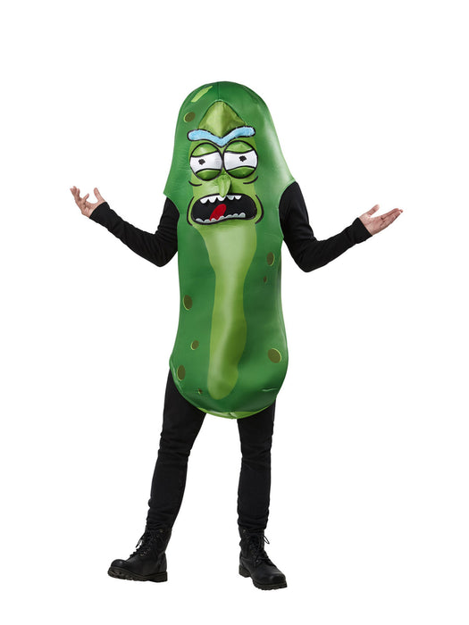 Buy Pickle Rick Costume for Adults - Rick and Morty from Costume Super Centre AU