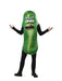 Buy Pickle Rick Costume for Adults - Rick and Morty from Costume Super Centre AU