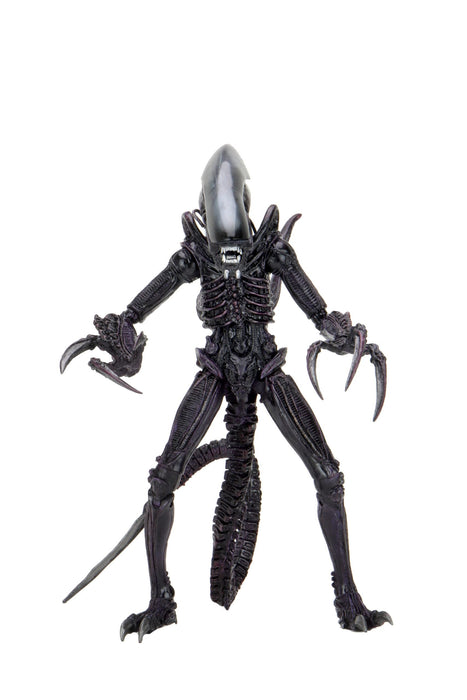 Buy Alien vs Predator 7" Scale Action Figures - Alien Assortment (Movie Deco) - NECA Collectibles from Costume Super Centre AU