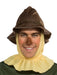 Buy Scarecrow Deluxe Costume for Adults - Warner Bros The Wizard of Oz from Costume Super Centre AU