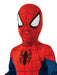 Buy Spider-Man Classic Costume for Kids - Marvel Spider-Man from Costume Super Centre AU