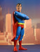 Buy Superman Toony Classics 6" Action Figure - DC Comics - NECA Collectibles from Costume Super Centre AU