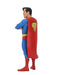 Buy Superman Toony Classics 6" Action Figure - DC Comics - NECA Collectibles from Costume Super Centre AU