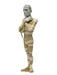 Buy The Mummy Toony Terrors 6" Scale Action Figure - Universal Monsters - NECA Collectibles from Costume Super Centre AU