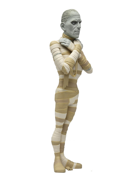 Buy The Mummy Toony Terrors 6" Scale Action Figure - Universal Monsters - NECA Collectibles from Costume Super Centre AU