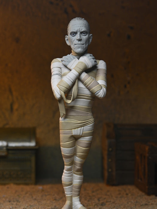 Buy The Mummy Toony Terrors 6" Scale Action Figure - Universal Monsters - NECA Collectibles from Costume Super Centre AU