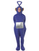 Buy Tinky Winky Teletubby Costume for Adults - BBC Teletubbies from Costume Super Centre AU