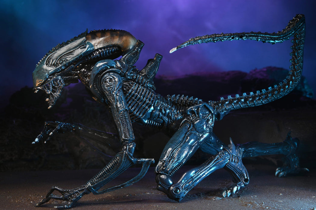 Buy Alien vs Predator 7" Scale Action Figures – Arachnoid Alien (Movie Deco) - NECA Collectibles from Costume Super Centre AU