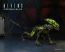 Buy Aliens - 7" Scale Action Figure - Burster - Fireteam Elite - NECA Collectibles from Costume Super Centre AU