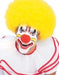 Buy Clown Yellow Wig for Adults from Costume Super Centre AU