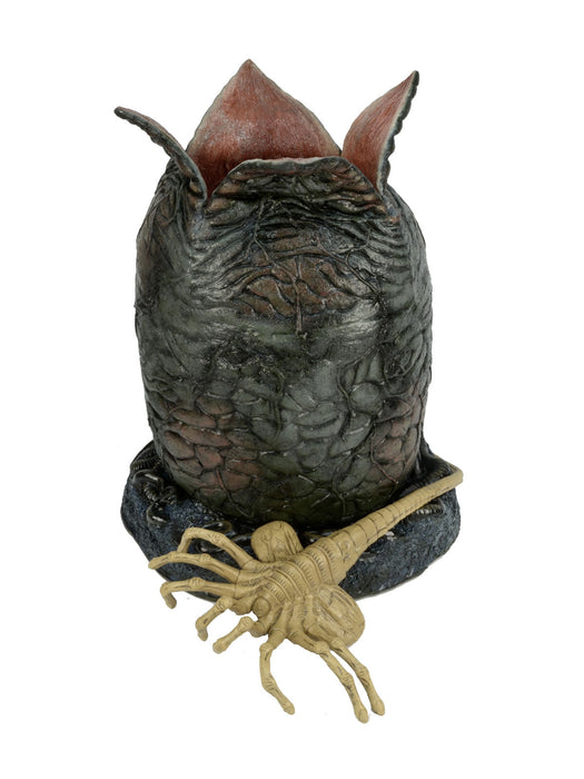 Buy Egg & Facehugger Lifesize Foam Prop Replica - Alien - NECA Collectibles from Costume Super Centre AU