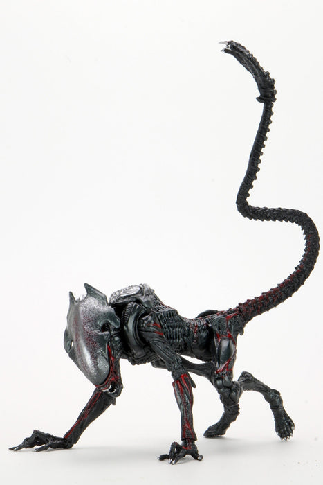 Buy Aliens - 7" Scale Action Figure - Kenner Tribute Night Cougar Alien - NECA Collectibles from Costume Super Centre AU