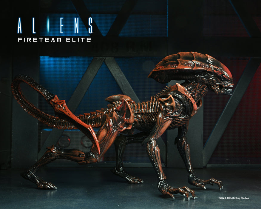 Buy Alien - 7" Scale Action Figure - Prowler - Aliens Fireteam Elite - NECA Collectibles from Costume Super Centre AU