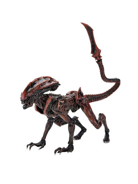 Buy Alien - 7" Scale Action Figure - Prowler - Aliens Fireteam Elite - NECA Collectibles from Costume Super Centre AU