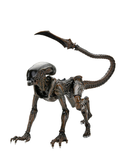 Buy Alien - 7" Scale Action Figure - Runner - Aliens Fireteam Elite - NECA Collectibles from Costume Super Centre AU