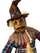 Buy Scary Scarecrow Costume for Kids from Costume Super Centre AU