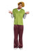 Buy Shaggy Costume for Adults - Warner Bros Scoob Movie from Costume Super Centre AU