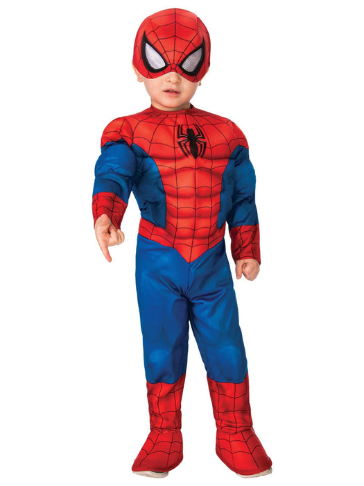 Buy Spider-Man Deluxe Costume for Toddlers - Marvel Spider-Man from Costume Super Centre AU