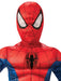 Buy Spider-Man Deluxe Costume for Kids - Marvel Spider-Man from Costume Super Centre AU