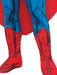 Buy Superman Deluxe Costume for Kids - Warner Bros DC Comics from Costume Super Centre AU