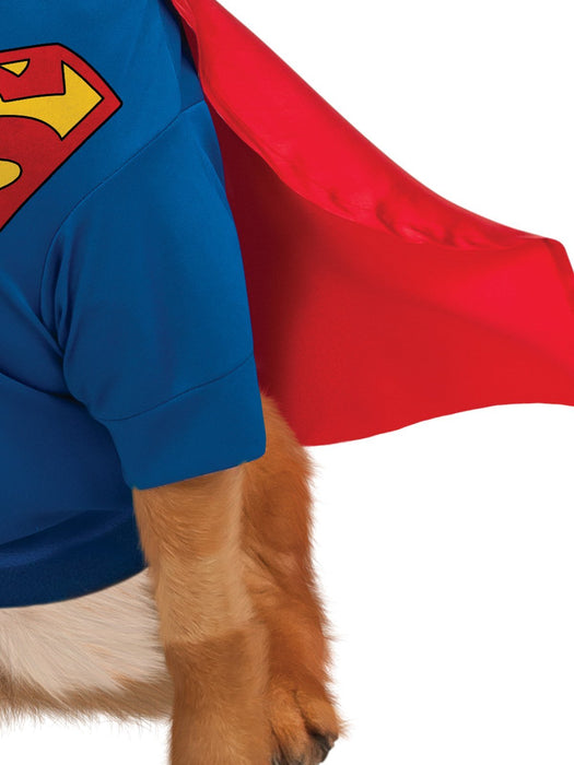 Buy Superman Deluxe Pet Costume - Warner Bros DC Comics from Costume Super Centre AU