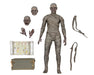 Buy Mummy - 7" Action Figure – Universal Monsters - NECA Collectibles from Costume Super Centre AU