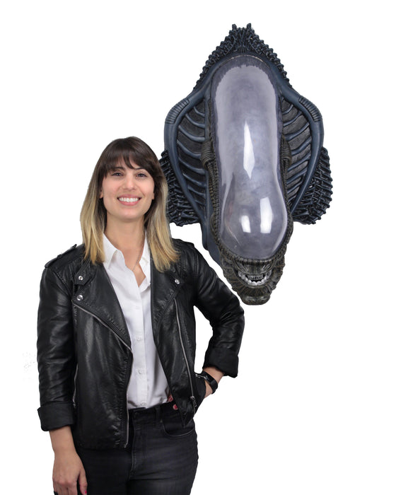 Buy Xenomorph Alien Bust Wall-Mounted Foam Replica - Alien - NECA Collectibles from Costume Super Centre AU