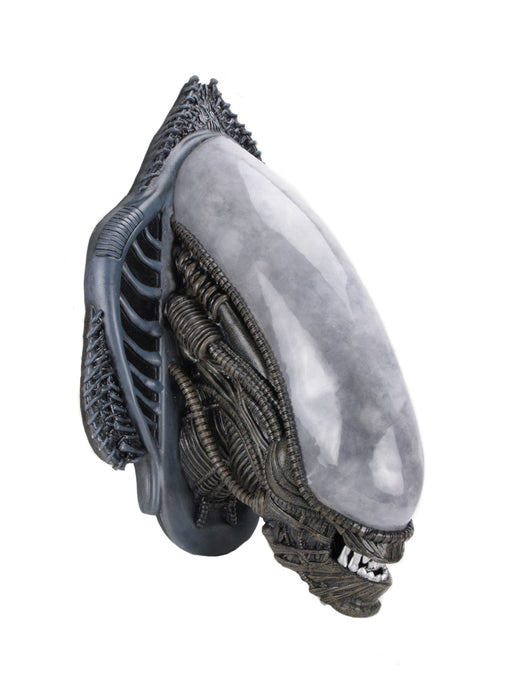 Buy Xenomorph Alien Bust Wall-Mounted Foam Replica - Alien - NECA Collectibles from Costume Super Centre AU